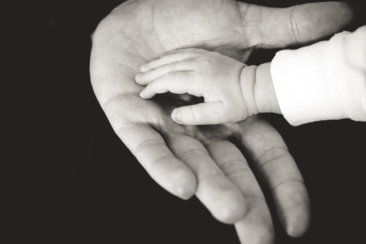 child and parent hands photography