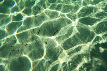 a close up view of a pool of water