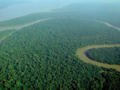 640px-​Aerial_​view_​of_​the_​Amazon_​Rainforest