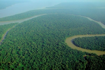 640px Aerial view of the Amazon Rainforest