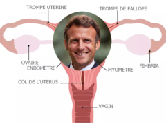 Macron, lâche-​nous l'utérus – jan­vier 2024