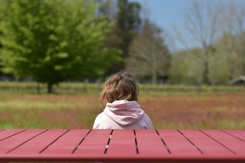 a little girl sitting at a red picnic table