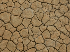 a close up view of a cracked surface